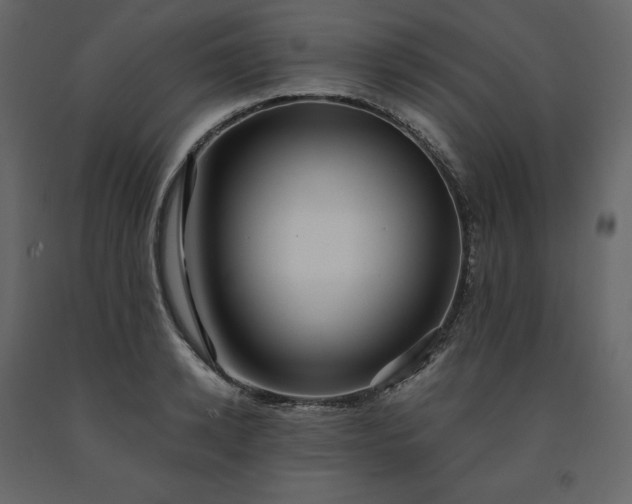 X0000091550942200708241752