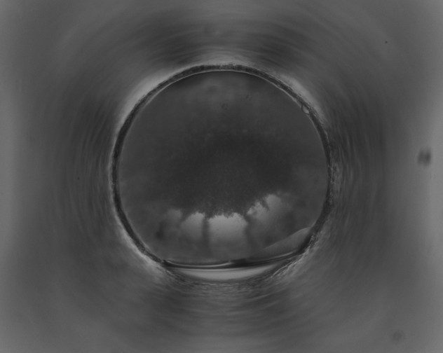 X0000091550943200708241752