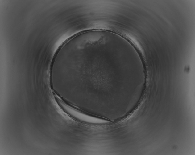 X0000091550944200708241752