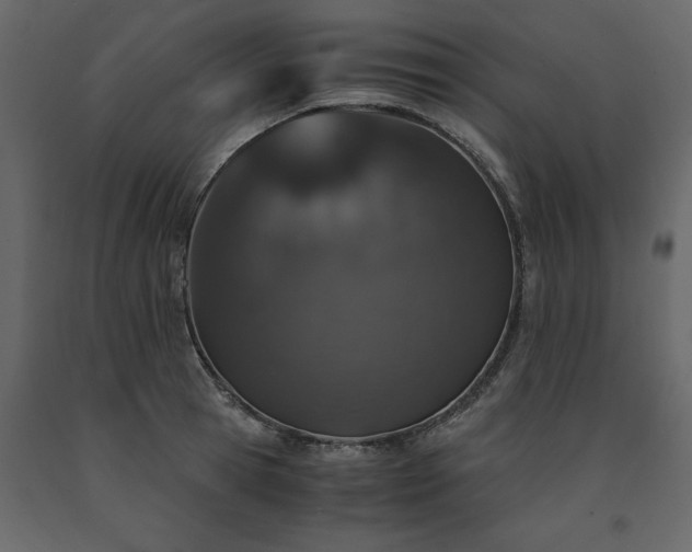 X0000091550945200708241752