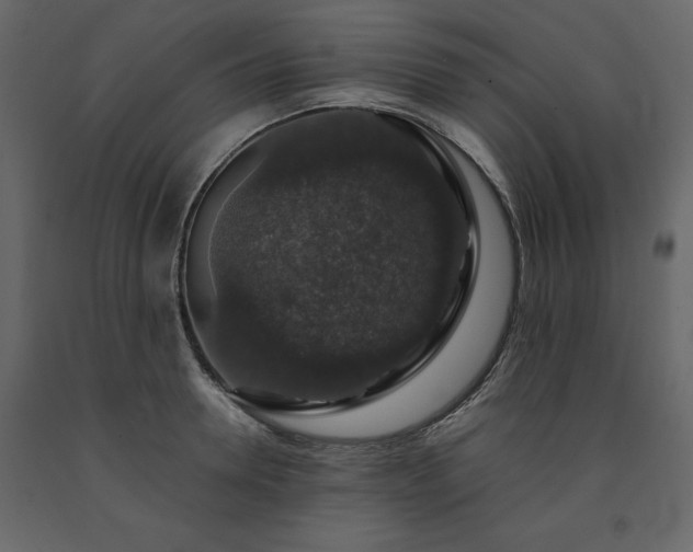 X0000091550946200708241752
