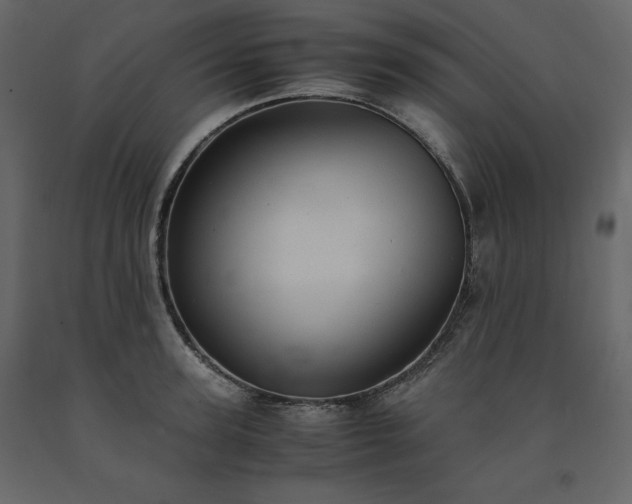 X0000091550947200708241752