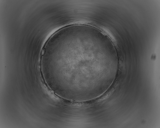 X0000091550948200708241752