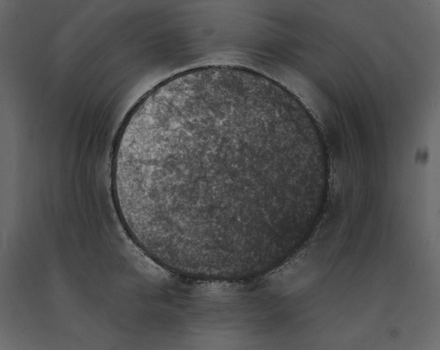 X0000091550950200708241752
