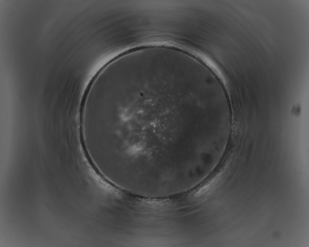 X0000091550951200708241752