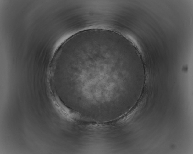 X0000091550952200708241752