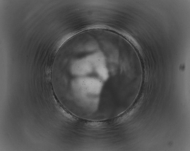 X0000091550953200708241752