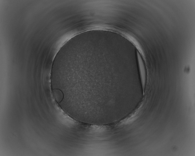 X0000091550954200708241752
