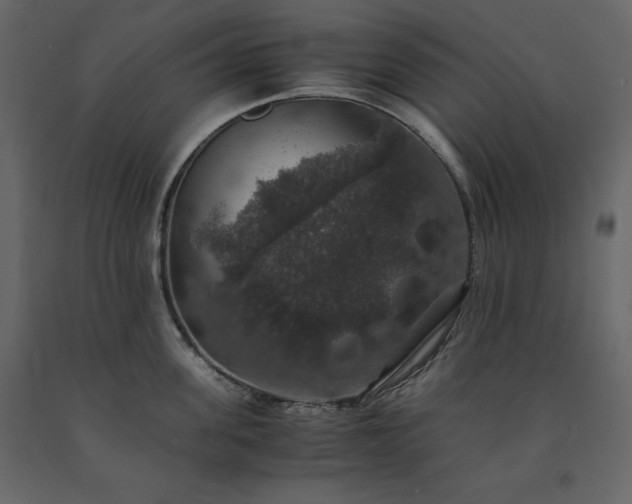 X0000091550955200708241752