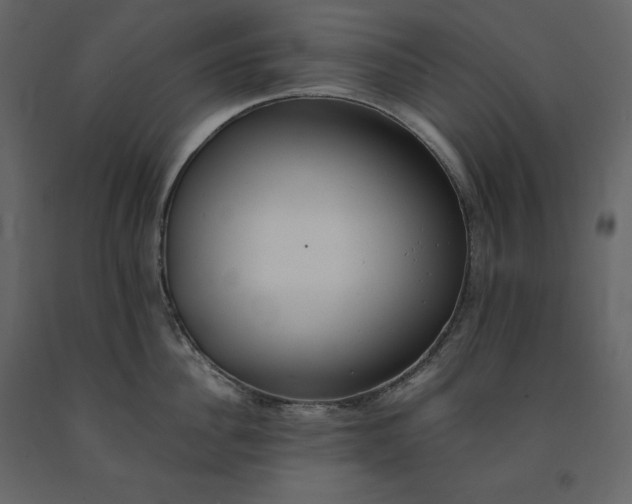 X0000091550956200708241752