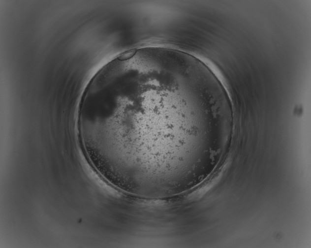 X0000091550957200708241752