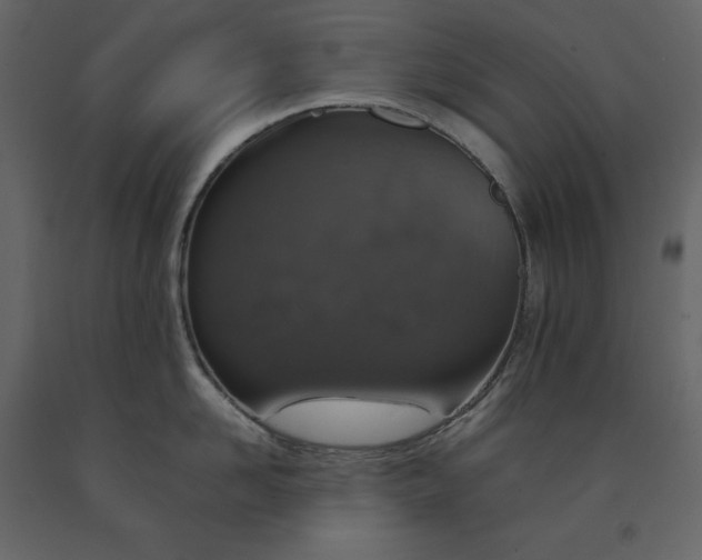 X0000091550958200708241752