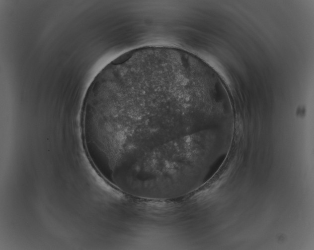 X0000091550959200708241752