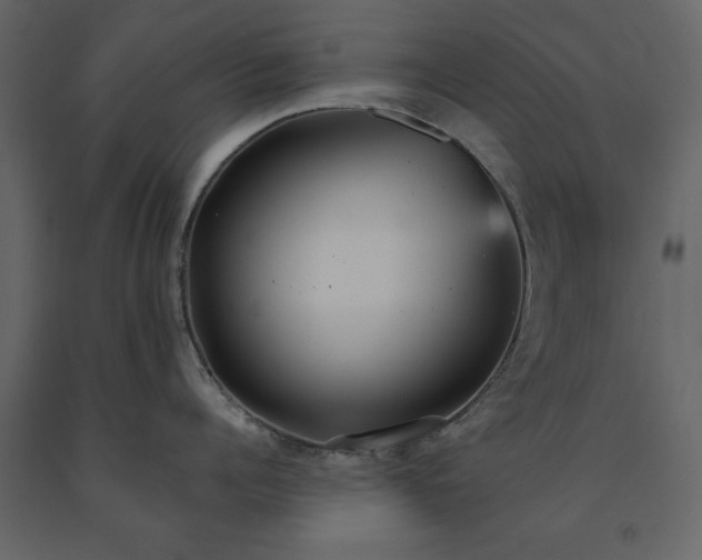 X0000091550960200708241752