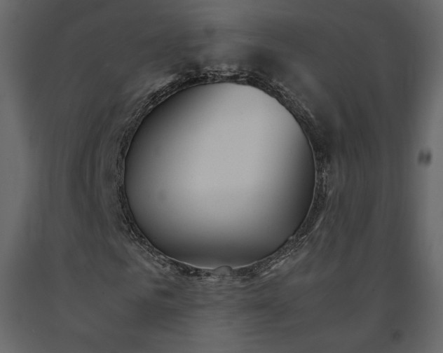 X0000091550961200708241751