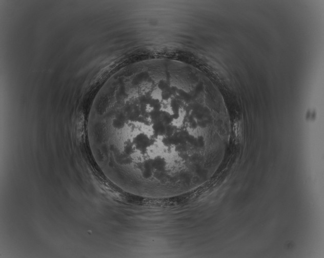 X0000091550963200708241751