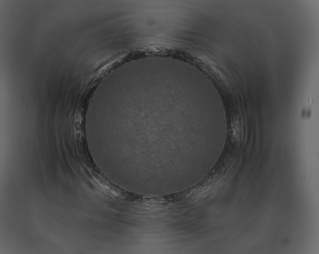X0000091550964200708241751