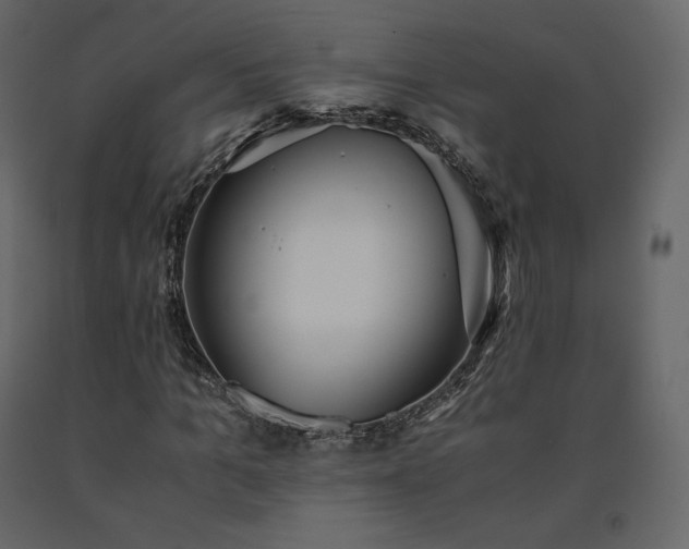X0000091550965200708241751