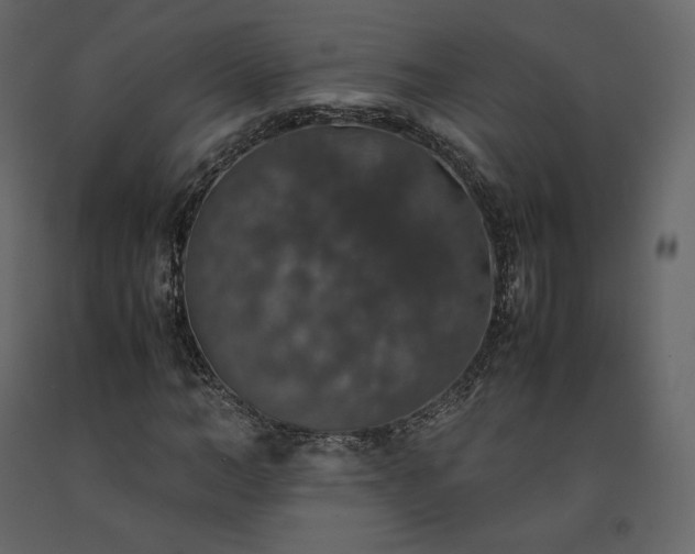 X0000091550966200708241751