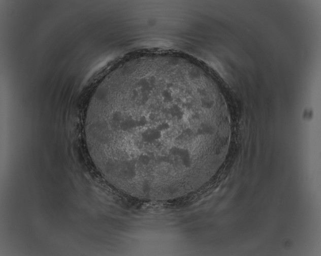 X0000091550967200708241751
