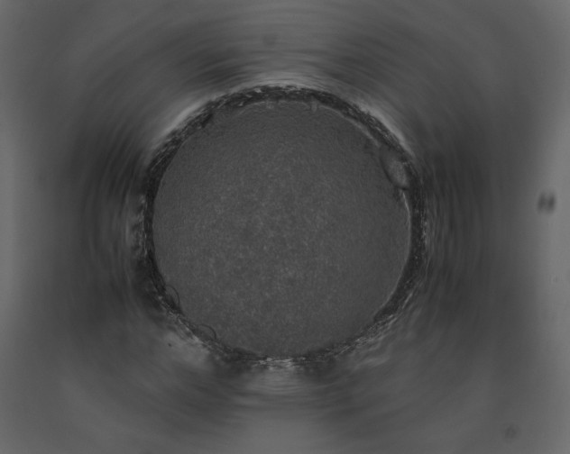 X0000091550968200708241751