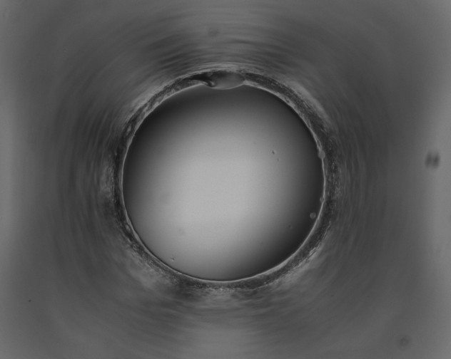 X0000091550969200708241751