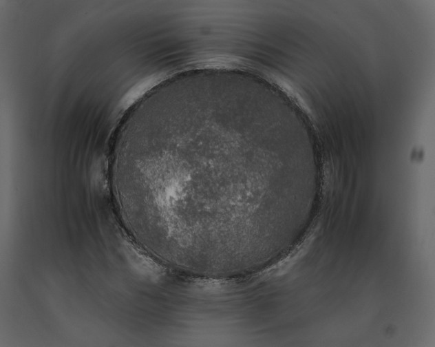 X0000091550970200708241751