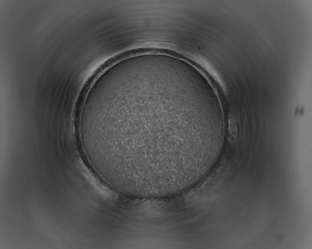 X0000091550972200708241751
