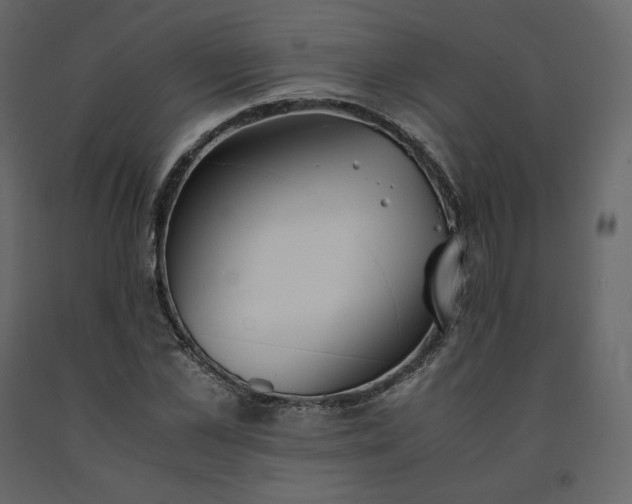 X0000091550973200708241751