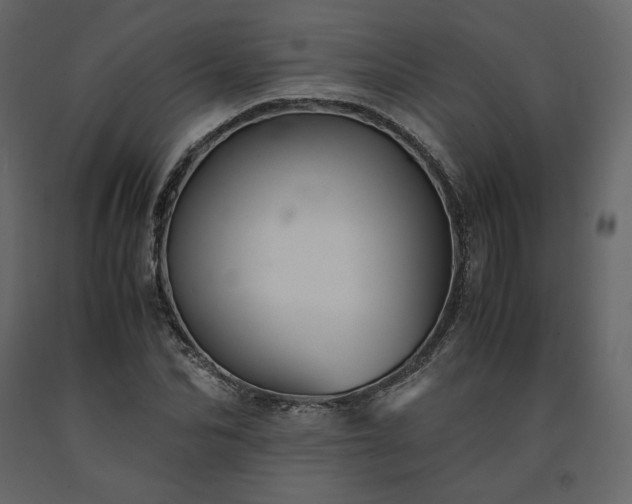 X0000091550974200708241751