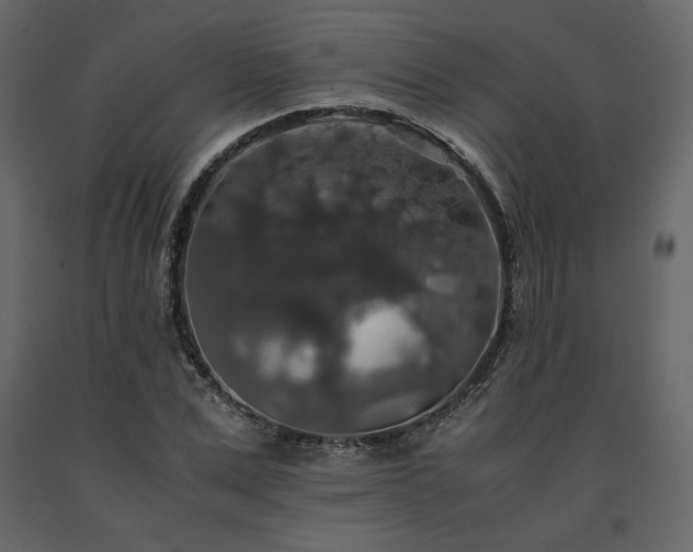 X0000091550975200708241751
