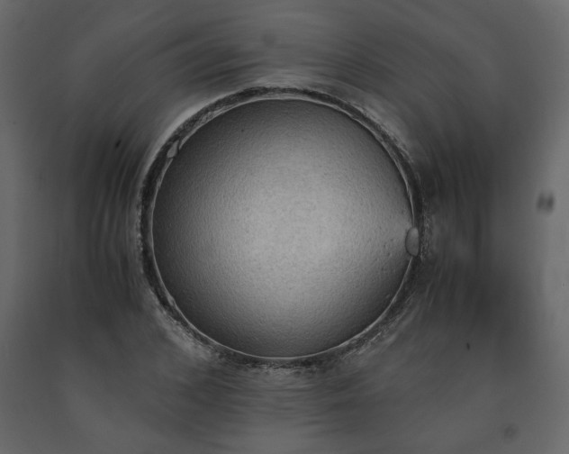 X0000091550976200708241751