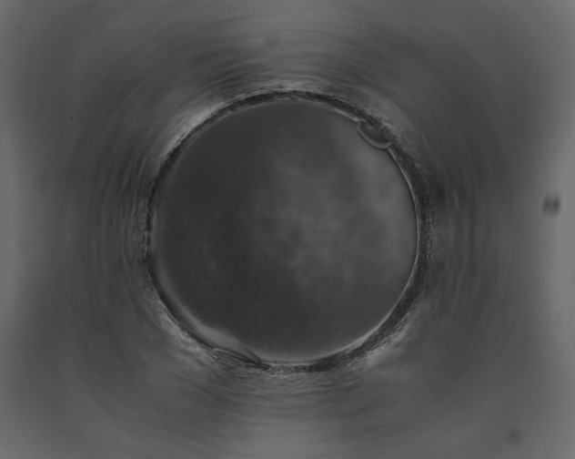 X0000091550977200708241751