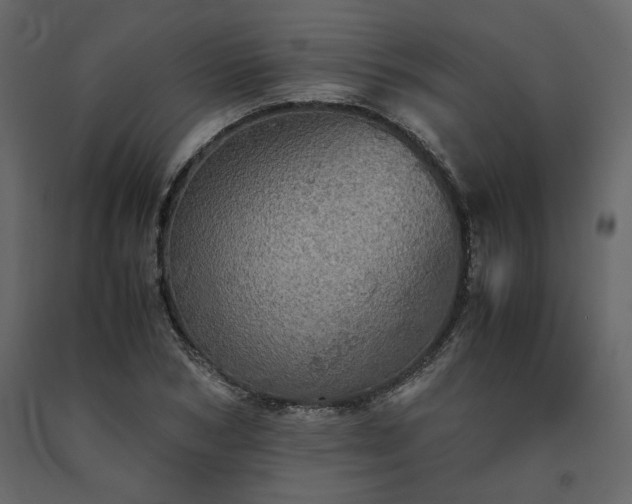 X0000091550978200708241751