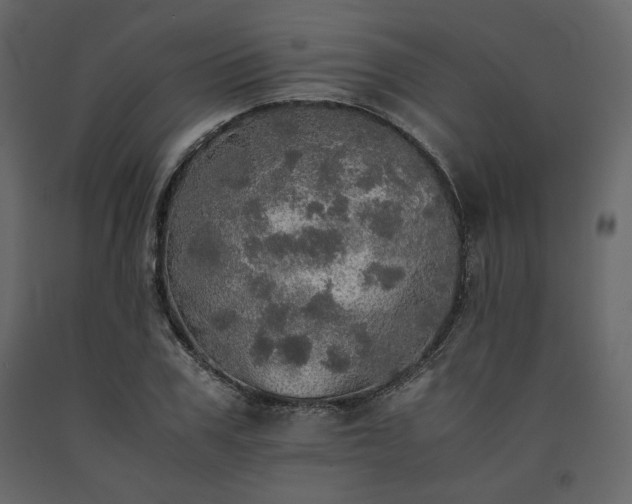 X0000091550979200708241751