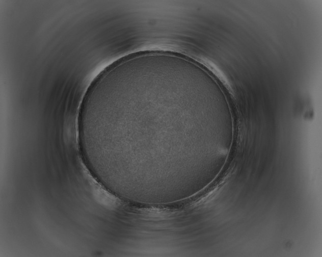 X0000091550980200708241751