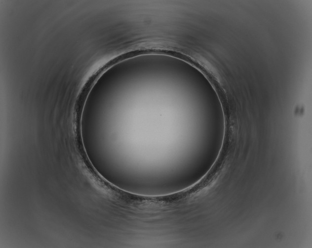 X0000091550981200708241751