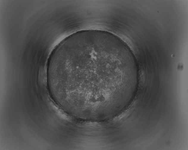 X0000091550982200708241751