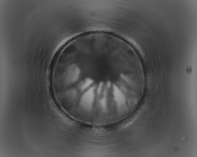X0000091550983200708241751