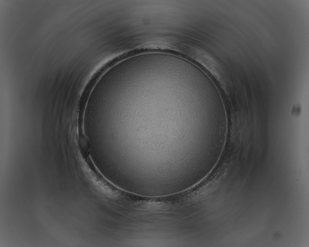 X0000091550984200708241751