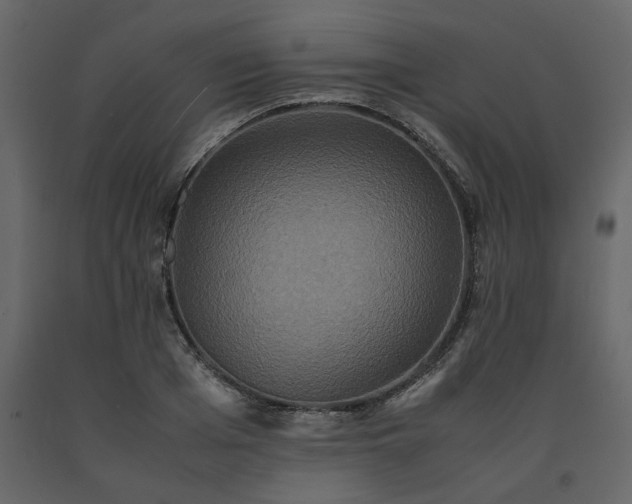 X0000091550985200708241751