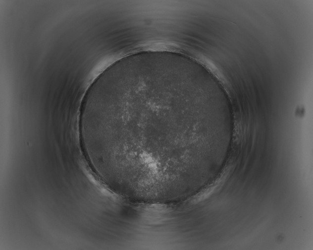 X0000091550986200708241751
