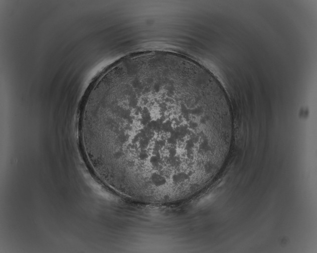 X0000091550987200708241751