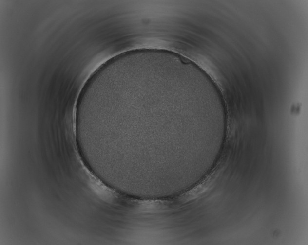 X0000091550988200708241751