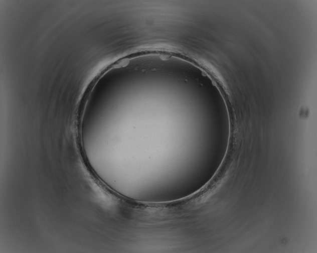 X0000091550989200708241751