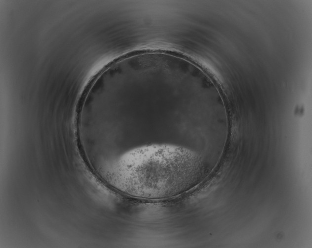 X0000091550990200708241751