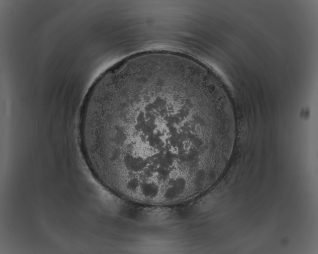 X0000091550991200708241751