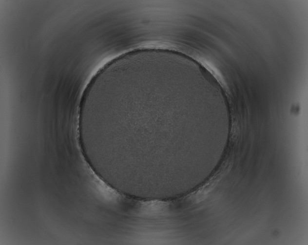 X0000091550992200708241751
