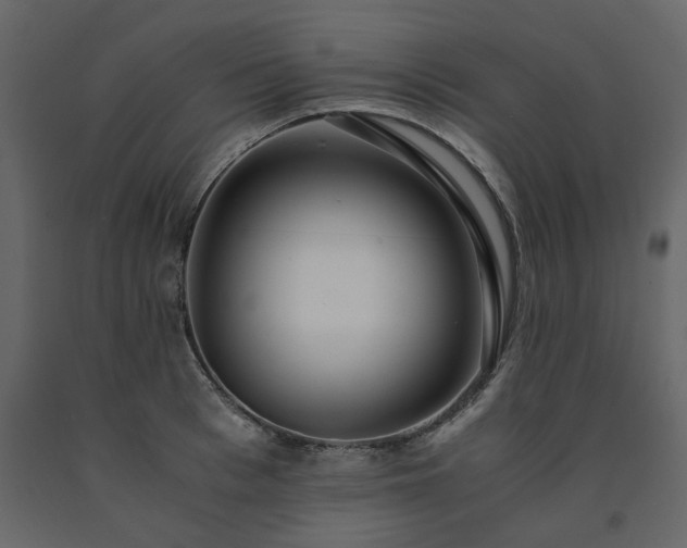 X0000091550993200708241751
