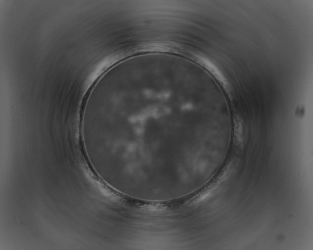 X0000091550994200708241751